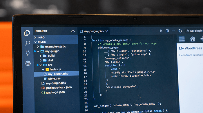 Website Development