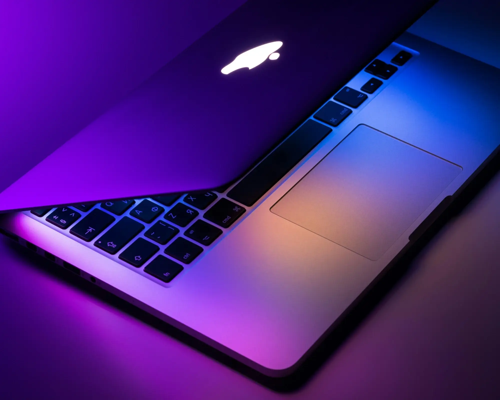 WordPress Design & Development